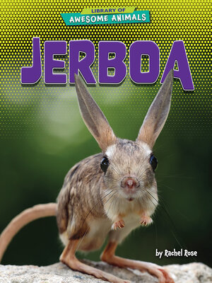 cover image of Jerboa
